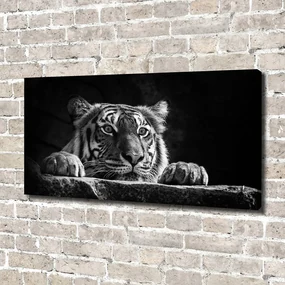 Tablou pe pânză canvas Tigru