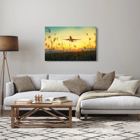 Tablou cu avionul ridicându-se spre zbor (90x60 cm)