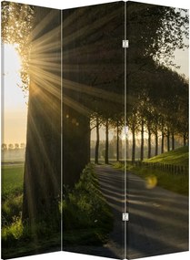 Paravan - Alee (126x170 cm)