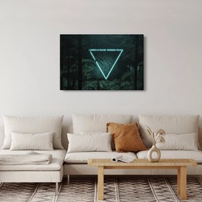 Tablou - Triunghi de neon în junglă (90x60 cm)