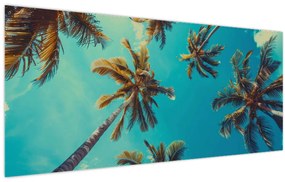 Tablou - Palmieri înalți (120x50 cm)