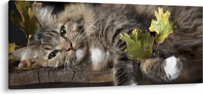 Tablou - Pisica mincinoasă (120x50 cm)