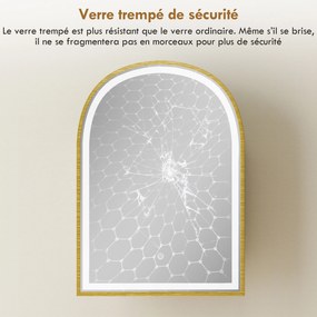 HOMCOM Dulap de perete pentru baie cu oglindă și iluminare LED, ușă arcuită, anti-abur, 50x14,5x70cm, auriu | Aosom Romania