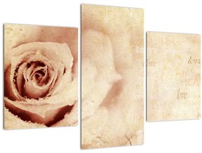 Tablou - floare de trandafir pentru îndrăgostiți (90x60 cm)