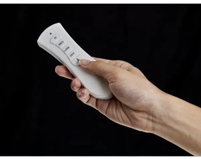 Ventilator de tavan FANAWAY 212982 EVORA 2xE27/20W/230V crom + telecomandă