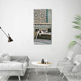 Print pe pânză Cat în Maroc
