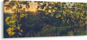 Tablou - Podgorii (120x50 cm)
