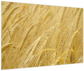 Tablou - Orz (90x60 cm)