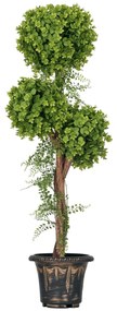 HOMCOM Plante Artificiale Arbore Artificial 3 Bile de Buxus cu Ghiveci de Ciment, Interior și Exterior, Înălțime 115 cm | Aosom Romania