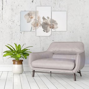 Tablou cu orhidee albă (90x60 cm)