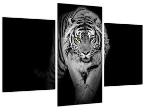 Tablou - Tigru cu ochi galbeni (90x60 cm)