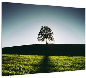 Tablou cu natura - copac (70x50 cm), în 40 de alte dimensiuni noi
