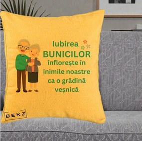 Cadou pentru Bunici - Perna Personalizata Bunicii Iubirea Infloreste Cuplu Senior Teal, 40x40 cm, Galben, Husa Detasabila, Perna Inclusa, BEKZ®