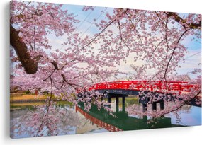 Tablou - Hirosaki, Japonia (90x60 cm)
