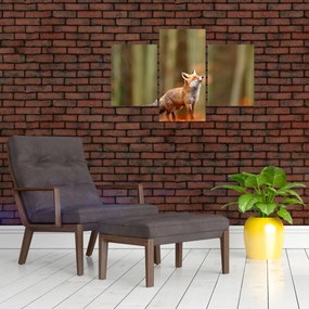 Tablou - Vulpe (90x60 cm)