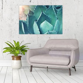 Tablou - Suculent (90x60 cm)