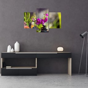Tablou - spa and stones (90x60 cm)