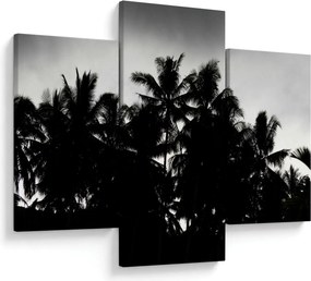 Tablou alb negru - palmieri (90x60 cm)