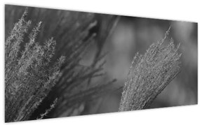 Tablou - Iarbă de pampas uscată (120x50 cm)