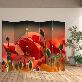 Paravan - Flori de maci (210x170 cm)