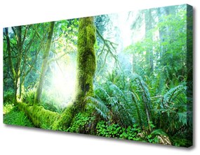 Tablou pe panza canvas Pădurea Verde Natura
