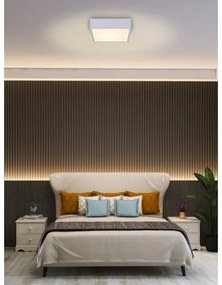 Plafonieră LED dimabilă Immax NEO 07238L CANTO 22W/230V alb Tuya + telecomandă