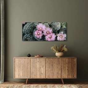 Tablou floare de cactus (120x50 cm)