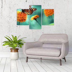 Tablou cu fluture (90x60 cm)