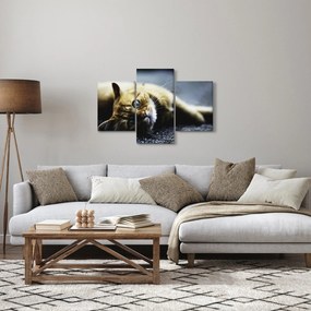 Tablou cu pisica (90x60 cm)