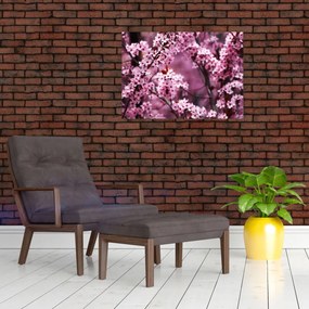 Tablou pe sticlă - Sakura roz (70x50 cm)