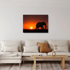 Tablou pe sticlă cu elefant în apus de soare (70x50 cm)