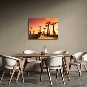 Tablou - Apus de soare pe Aleea Baobabilor (70x50 cm)