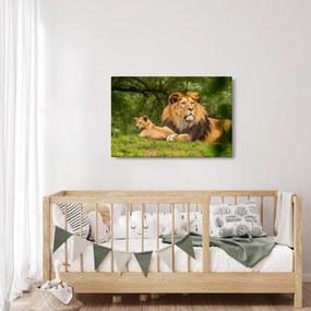 Tablou cu lei (90x60 cm)