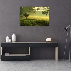 Tablou - Pădurea trezită (90x60 cm)