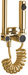 Coloana de dus REA HELIX Gold