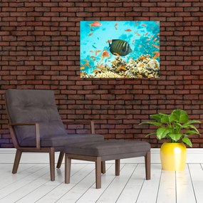 Tablou pe sticlă lumii submarine (70x50 cm)