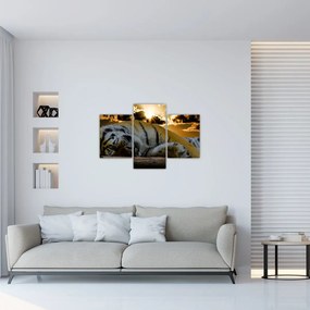 Tablou tigrul dormind (90x60 cm)