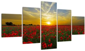 Tablou cu câmp cu maci (125x70 cm), în 40 de alte dimensiuni noi