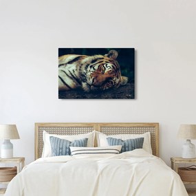 Tablou - Tigrul Siberian (90x60 cm)