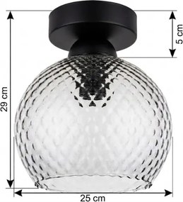 BRILAGI - Plafonieră LED R GLASS 1xE27/60W/230V Ø 25 cm negru/gri fumuriu