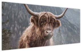 Tablou - Vaca Highlander (120x50 cm)