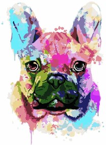 Pictura pe numere cu un cadru "Bulldog francez 2" 50x40 cm