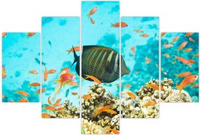 Tablou lumii submarine (150x105 cm)