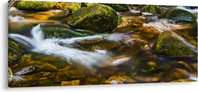Tablou cu părâu (120x50 cm)