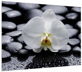 Tablou cu orhidee (70x50 cm), în 40 de alte dimensiuni noi