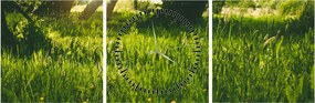 Tablou cu natura - lunca (cu ceas) (90x30 cm)