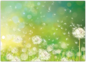 Tablou - Păpădie înflorită (70x50 cm)