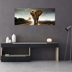 Tablou cu elefant (120x50 cm)