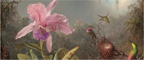 Tablou - Martin Johnson Heade, Cattleya Orchid and Three Hummingbirds, reproducere (120x50 cm)