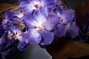 Aranjament floral mediu design LUX VANDA HEART LEAF, dia 90cm